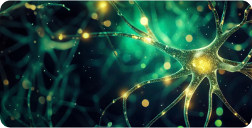 Neurocrine Biosciences leadership team