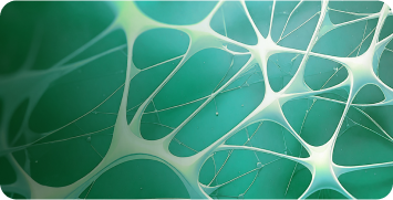 Neurocrine Biosciences therapeutic areas