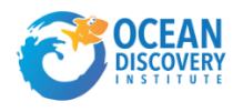 Ocean Discovery Institute